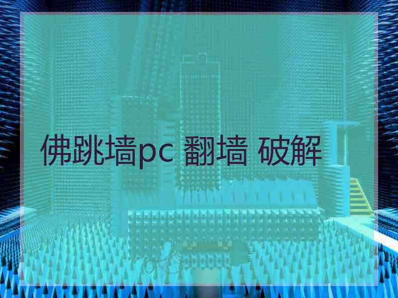 佛跳墙pc 翻墙 破解