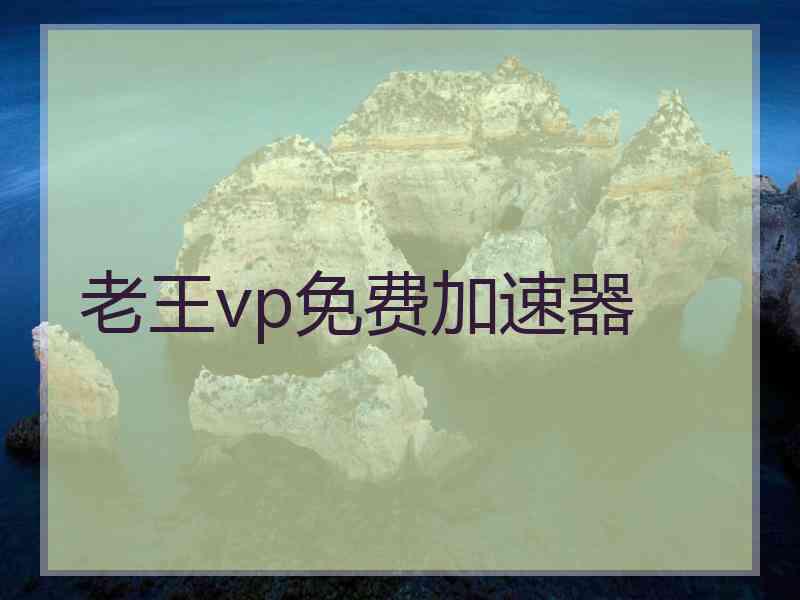 老王vp免费加速器
