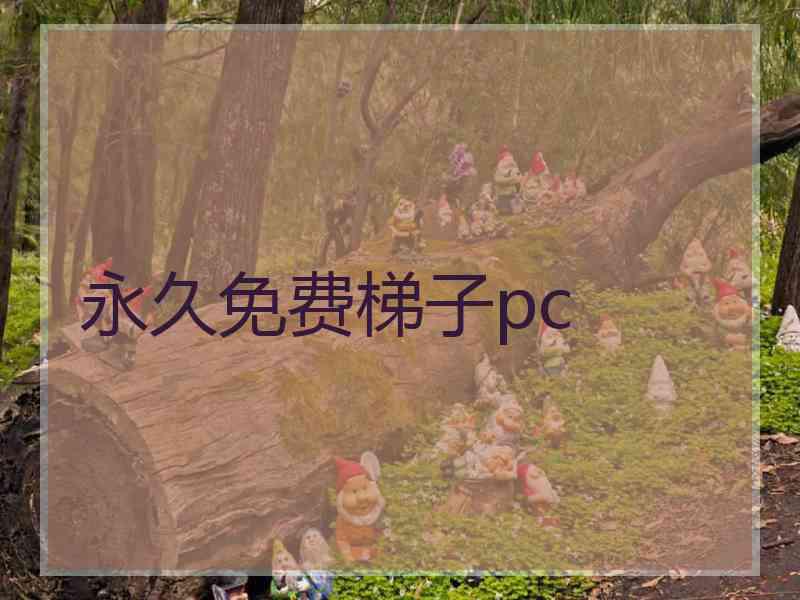 永久免费梯子pc