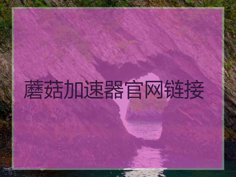 蘑菇加速器官网链接