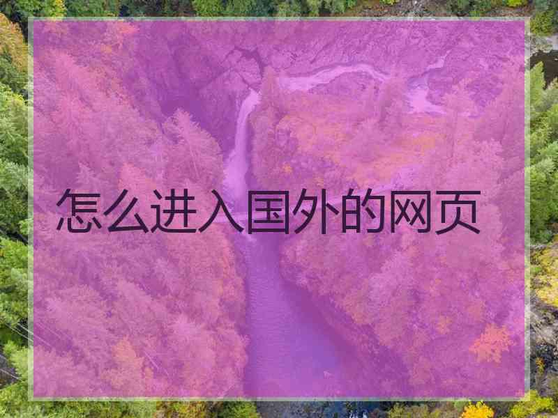 怎么进入国外的网页