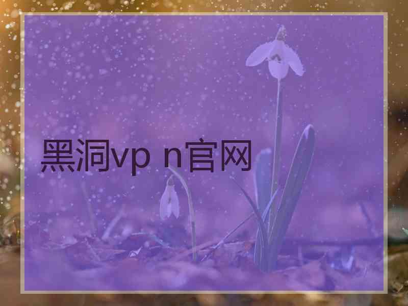 黑洞vp n官网