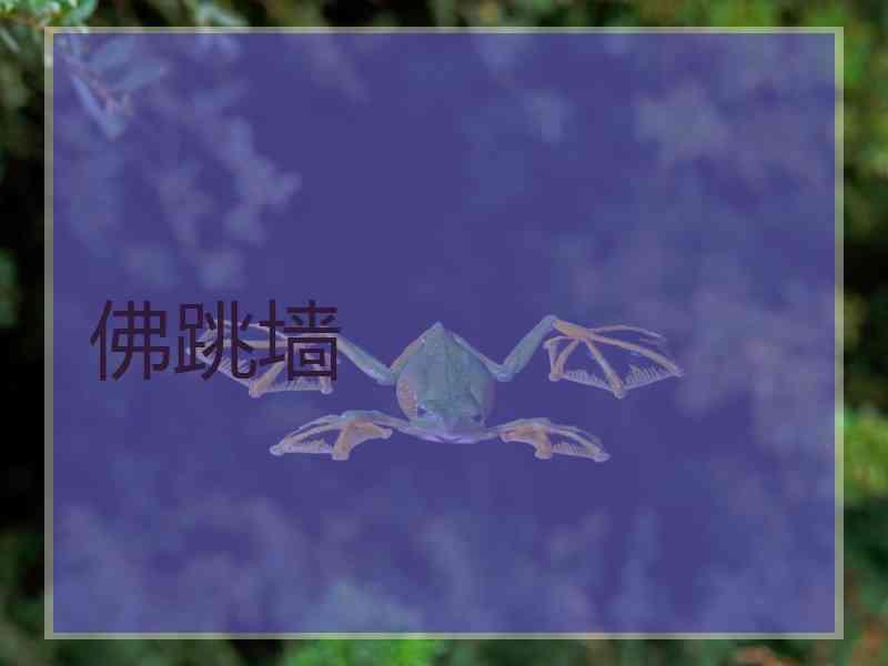 佛跳墙