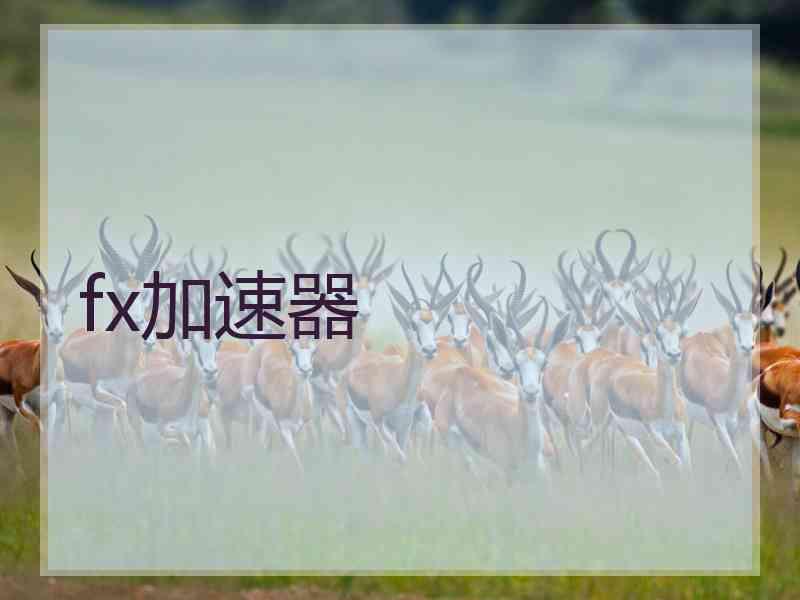 fx加速器