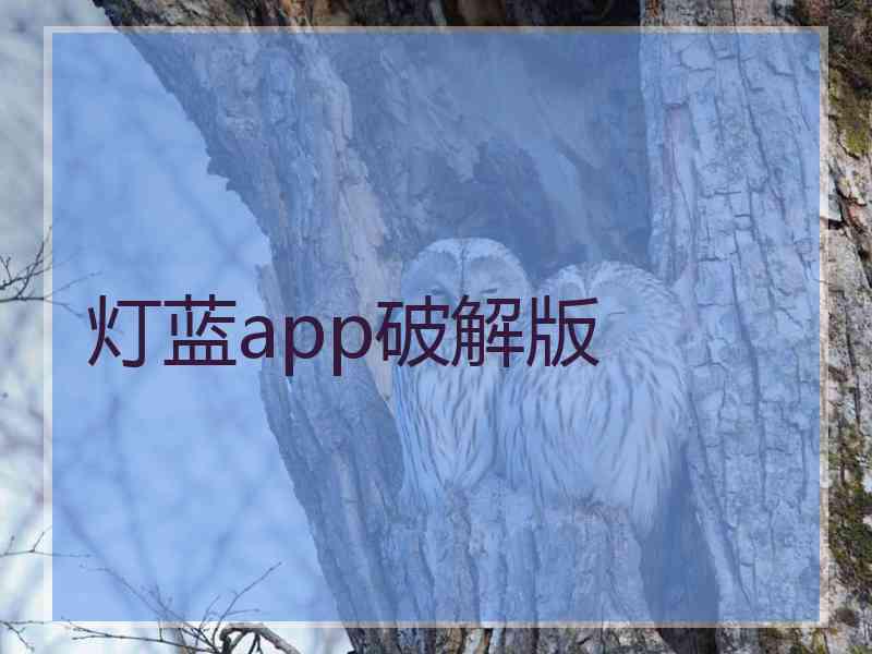 灯蓝app破解版
