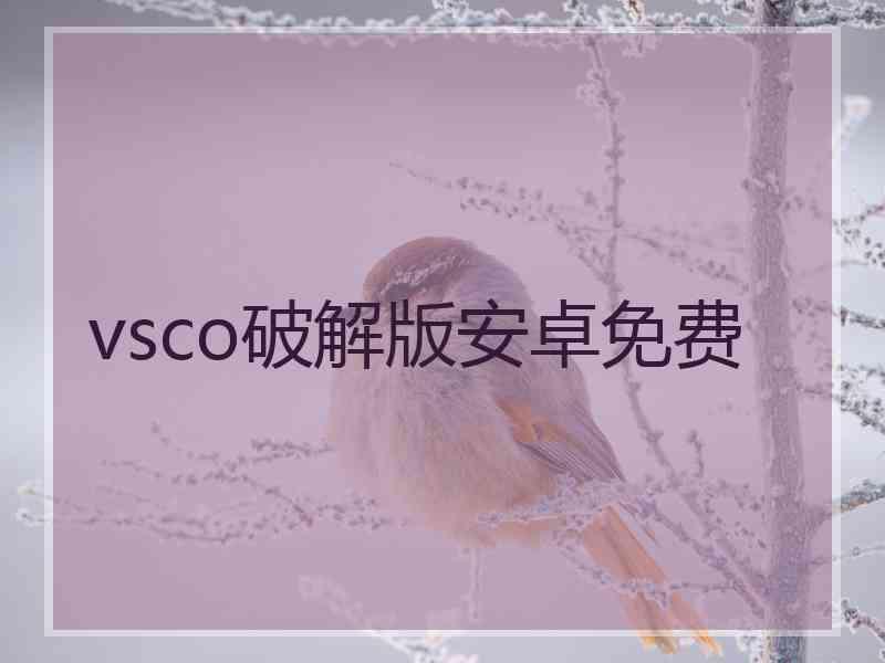 vsco破解版安卓免费