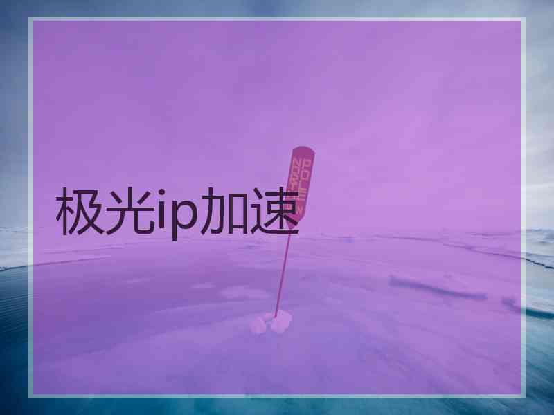 极光ip加速