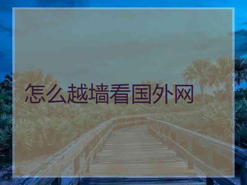 怎么越墙看国外网