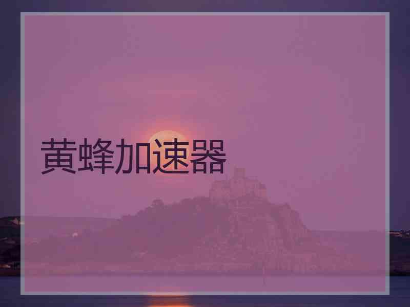 黄蜂加速器