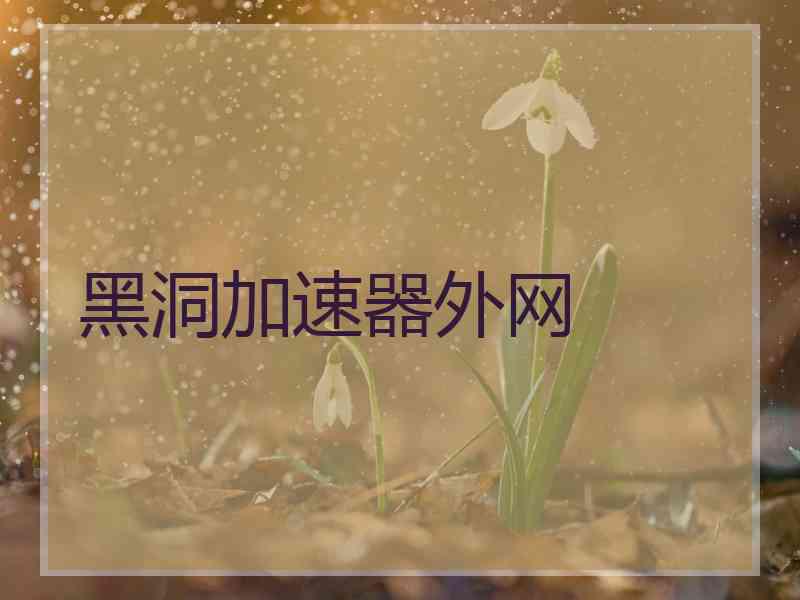 黑洞加速器外网