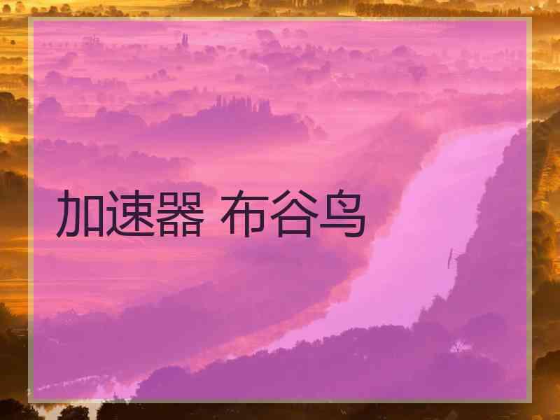 加速器 布谷鸟