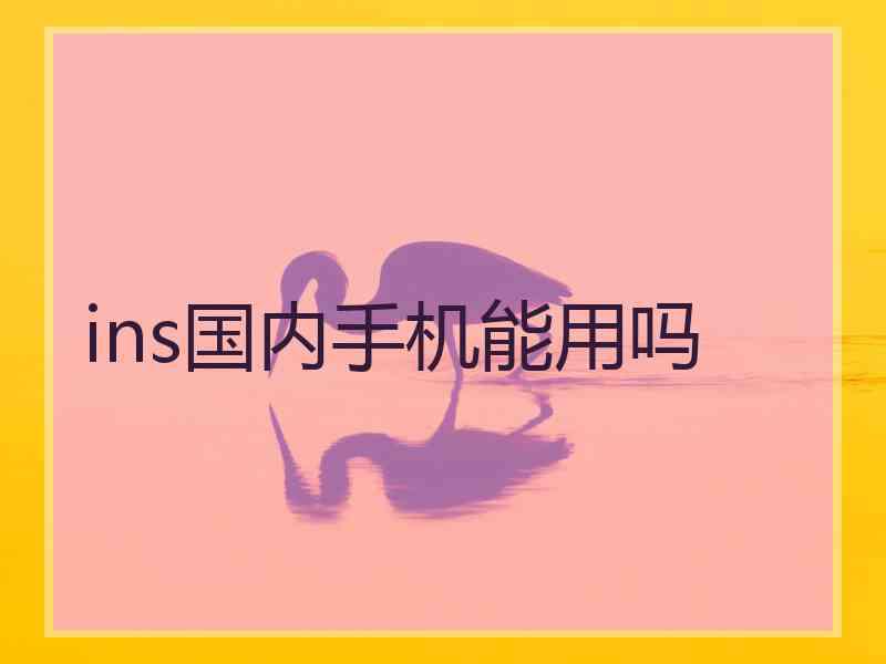 ins国内手机能用吗