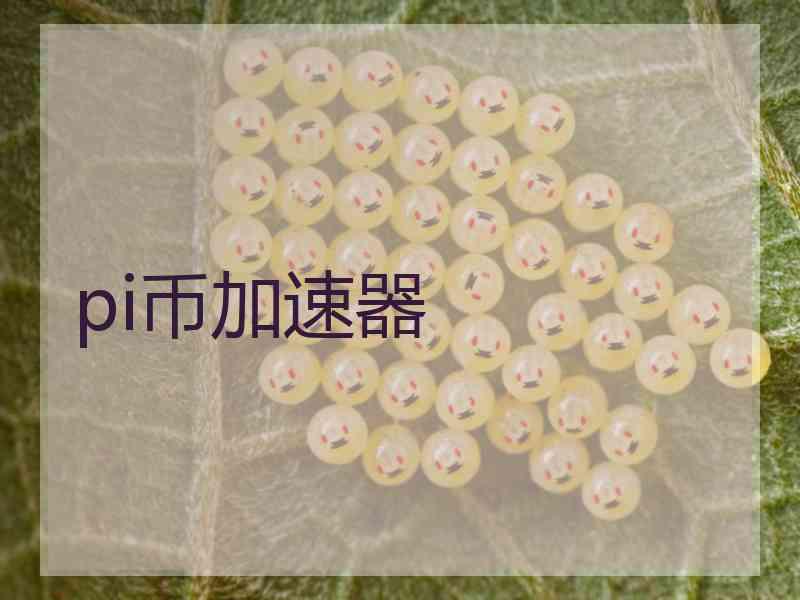 pi币加速器