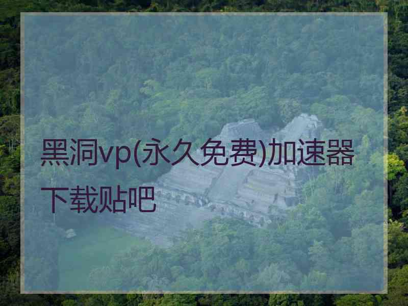 黑洞vp(永久免费)加速器下载贴吧