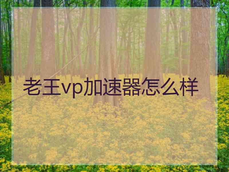 老王vp加速器怎么样