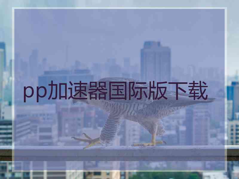 pp加速器国际版下载
