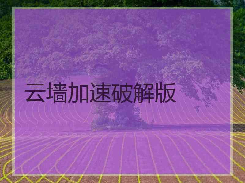 云墙加速破解版
