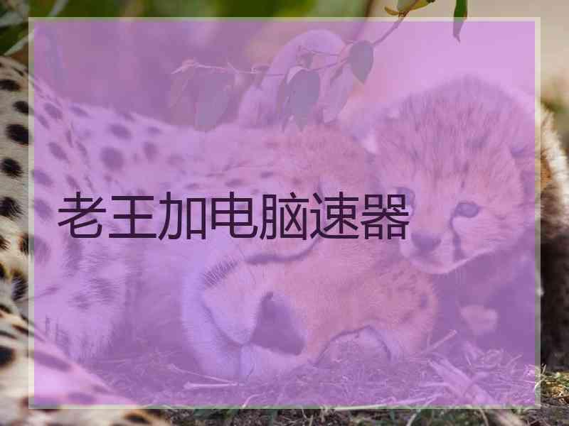 老王加电脑速器