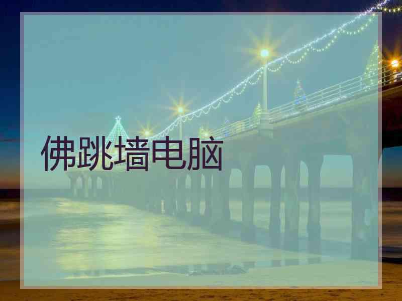 佛跳墙电脑