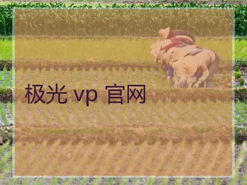极光 vp 官网