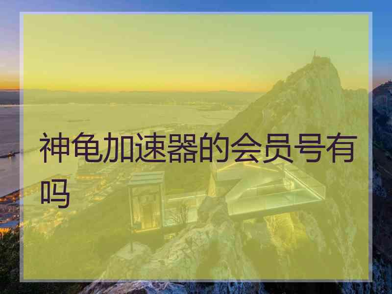 神龟加速器的会员号有吗