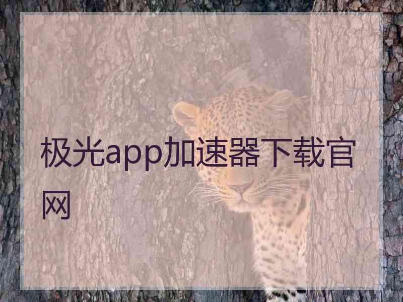 极光app加速器下载官网