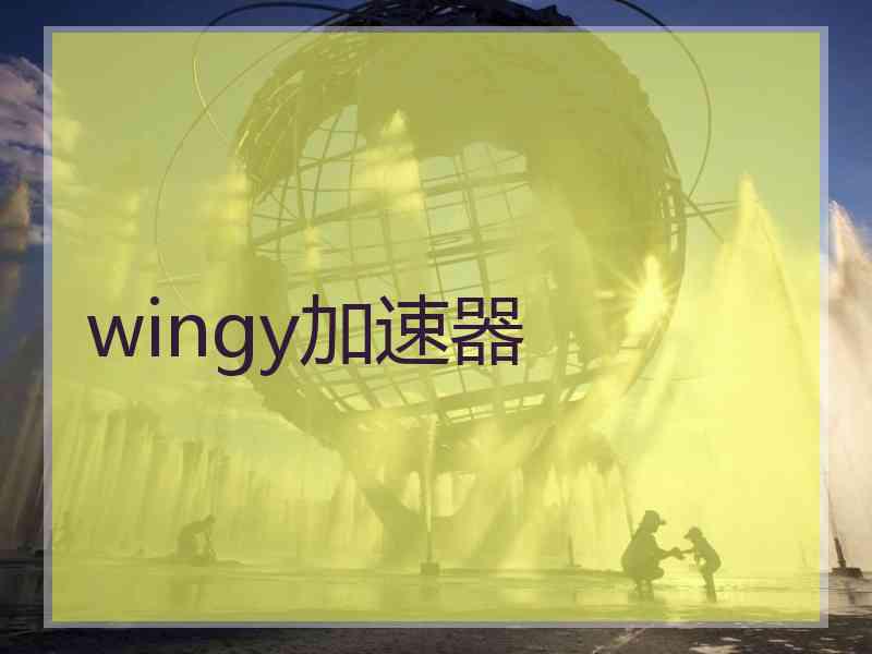 wingy加速器