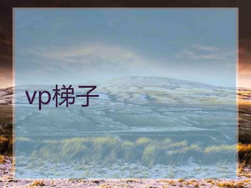 vp梯子