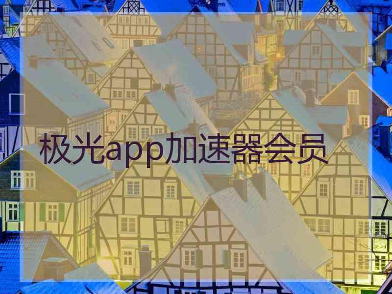 极光app加速器会员