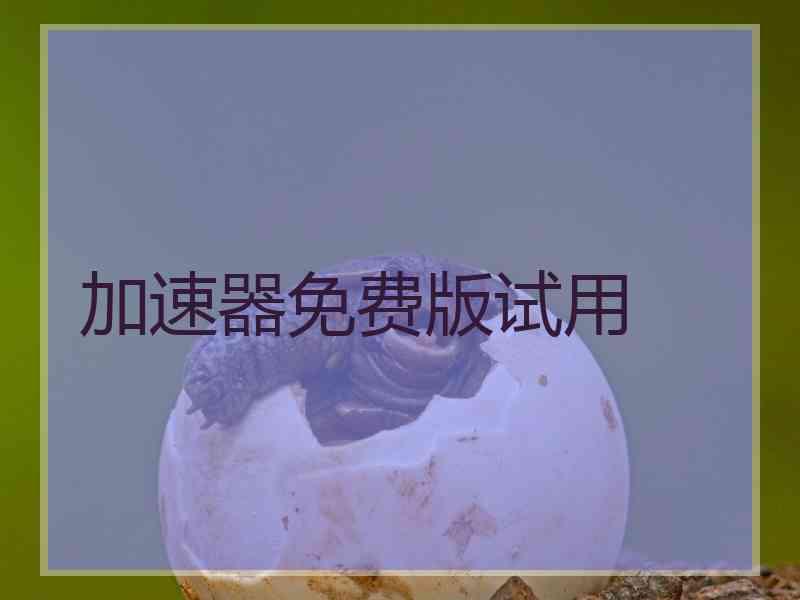 加速器免费版试用