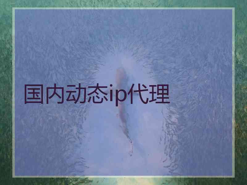 国内动态ip代理