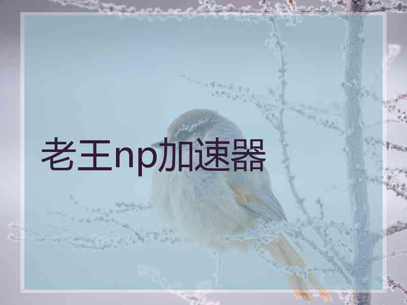 老王np加速器