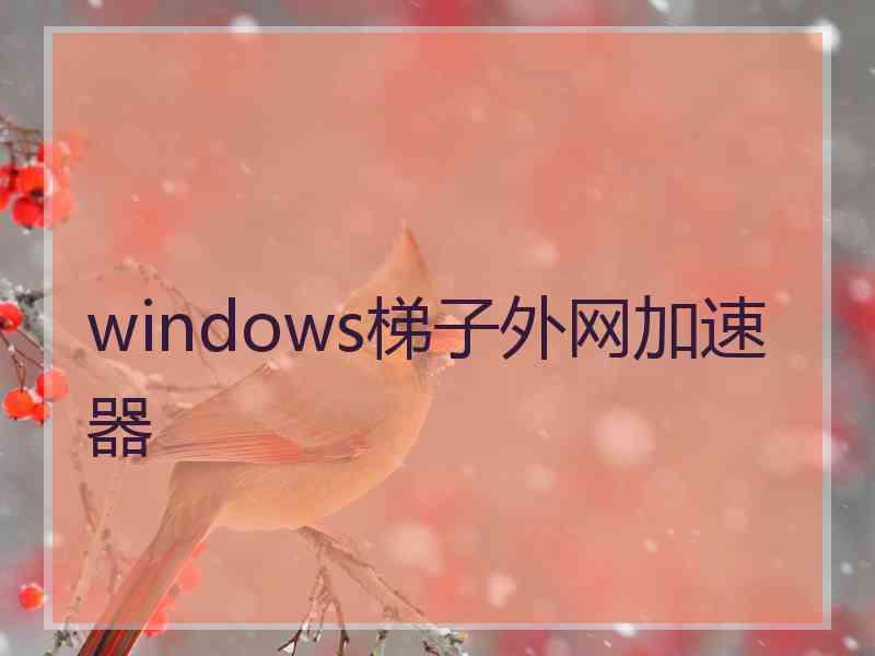 windows梯子外网加速器