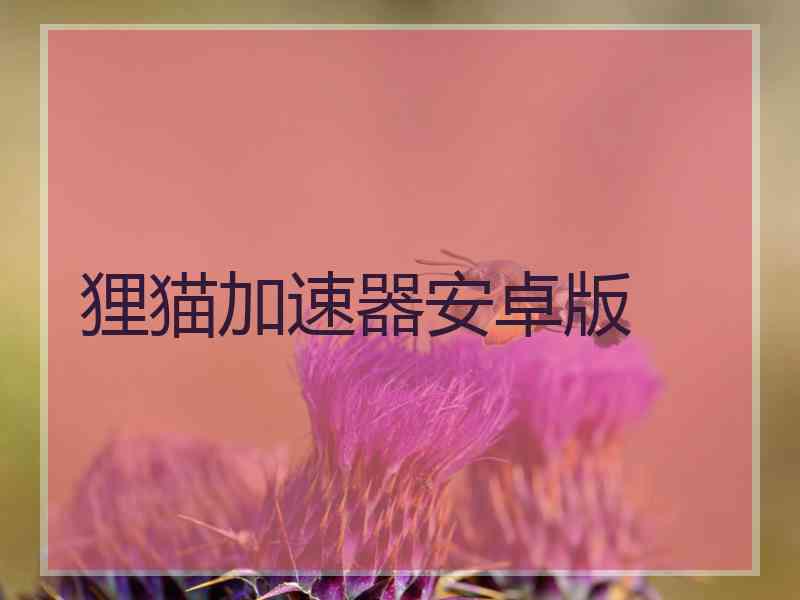 狸猫加速器安卓版