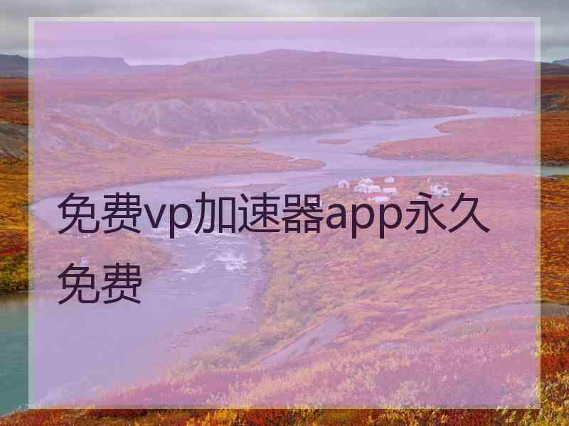 免费vp加速器app永久免费