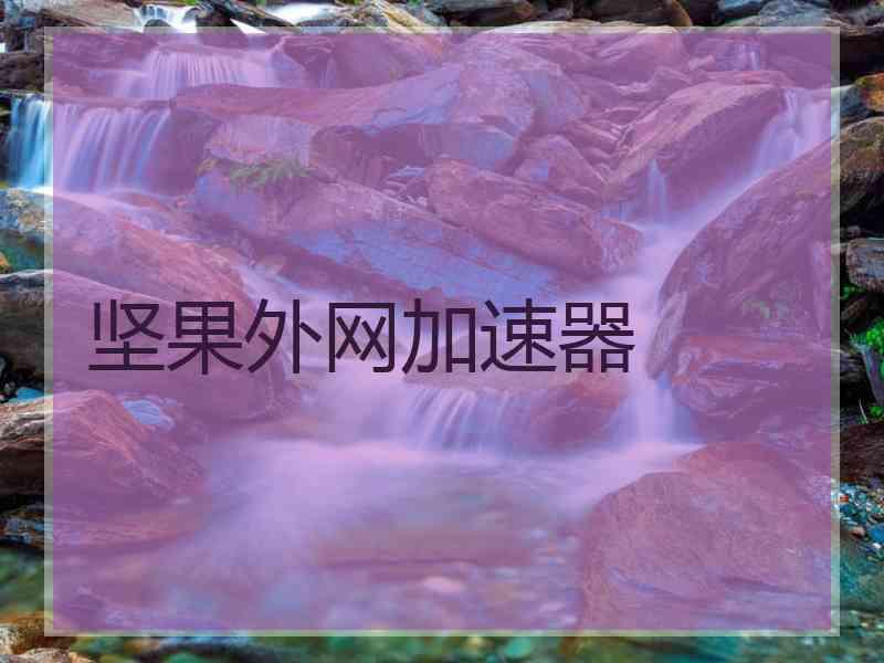 坚果外网加速器