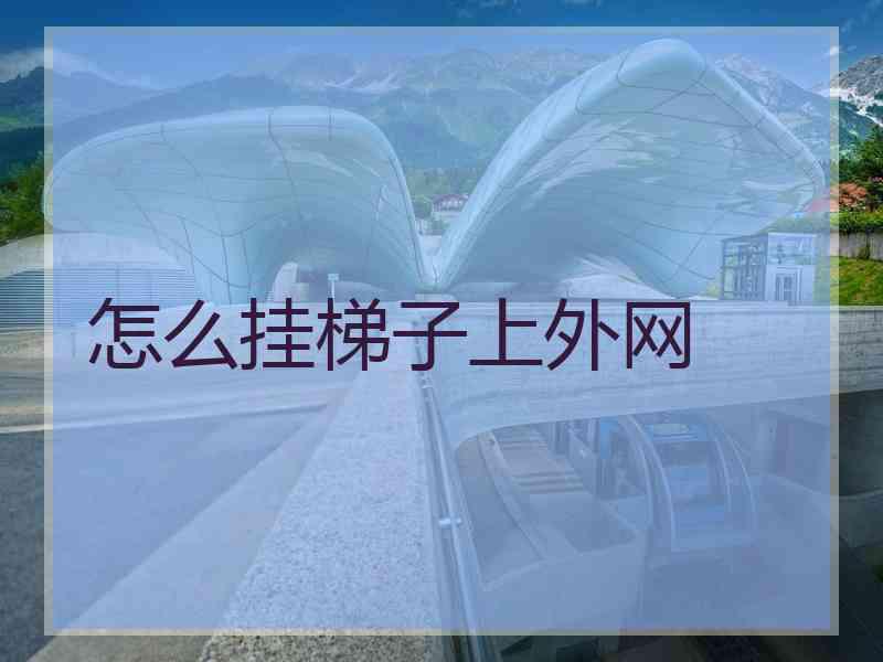 怎么挂梯子上外网