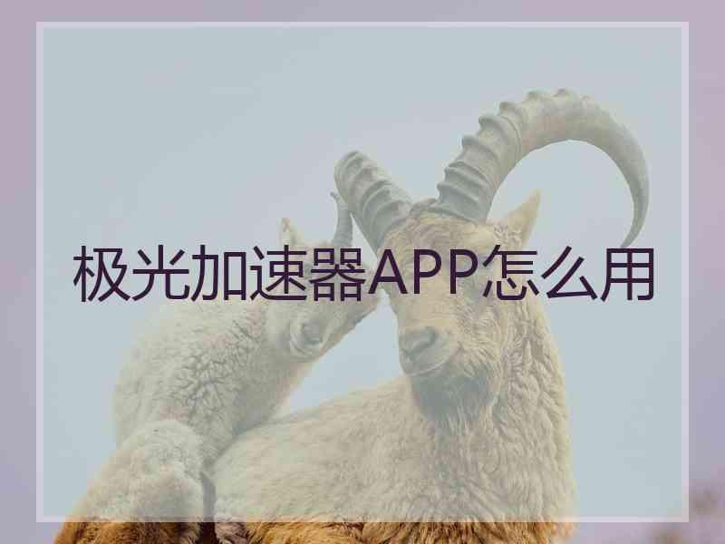 极光加速器APP怎么用