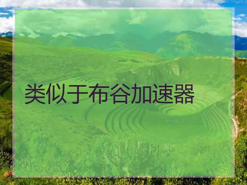 类似于布谷加速器
