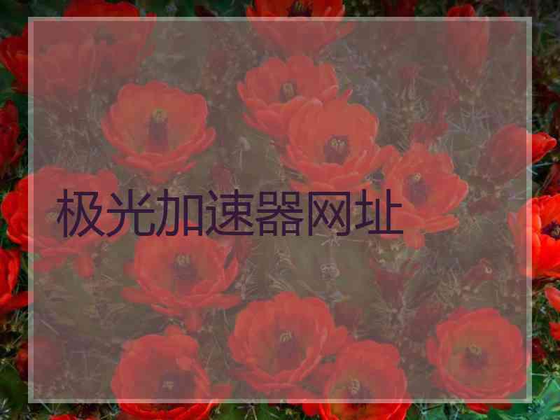 极光加速器网址