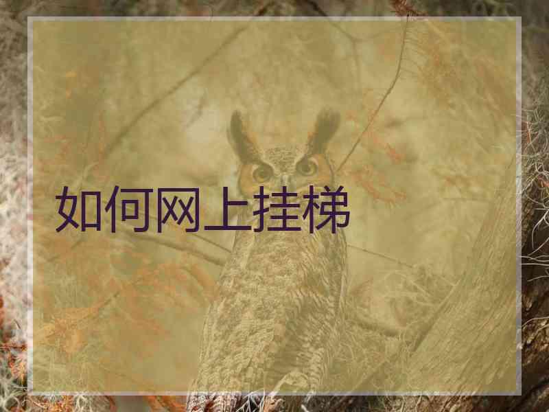 如何网上挂梯
