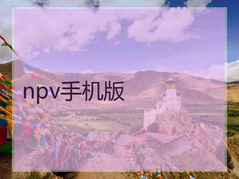npv手机版