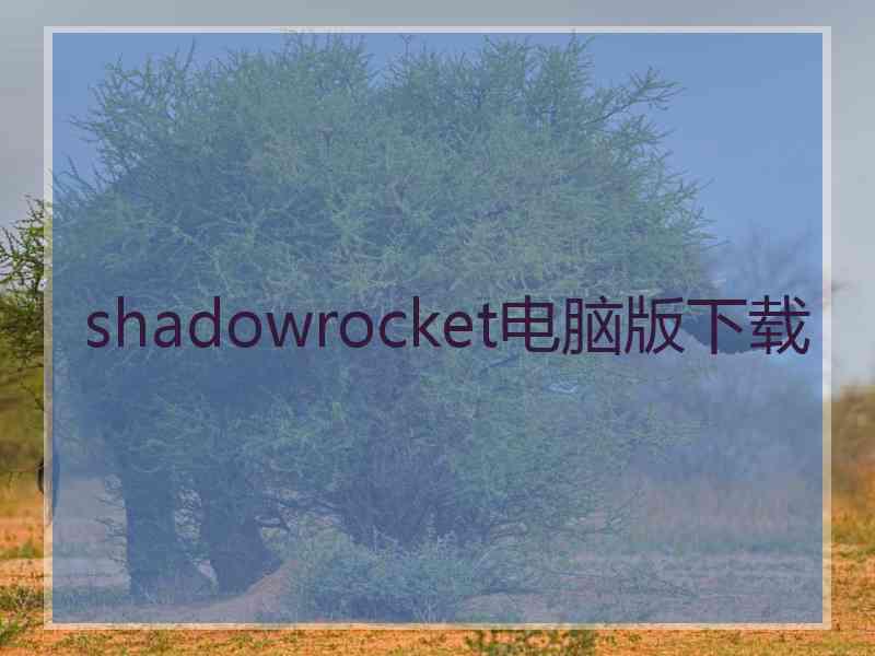 shadowrocket电脑版下载