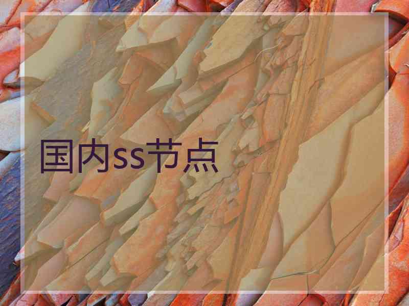 国内ss节点