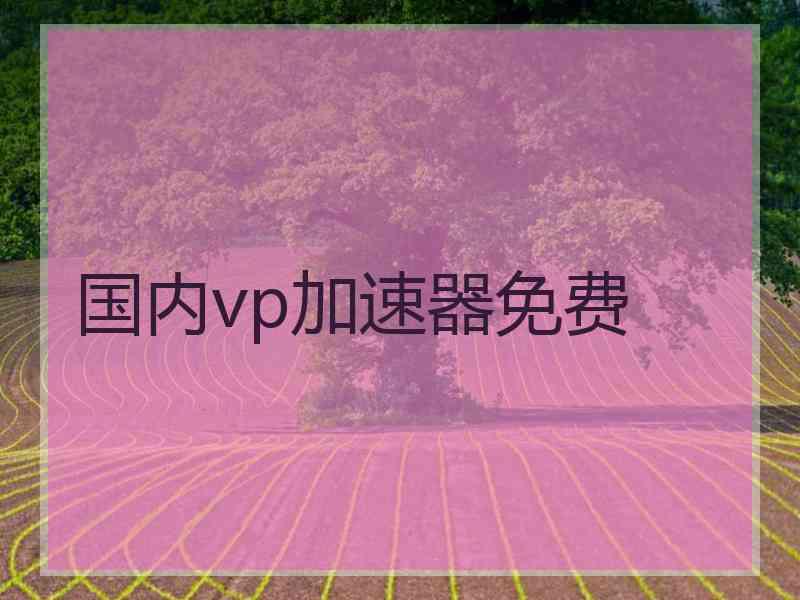 国内vp加速器免费