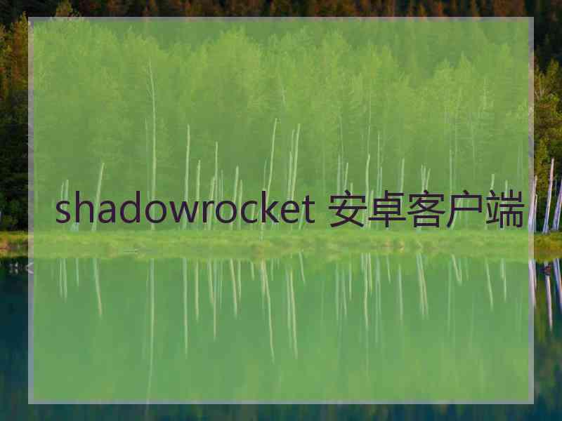 shadowrocket 安卓客户端