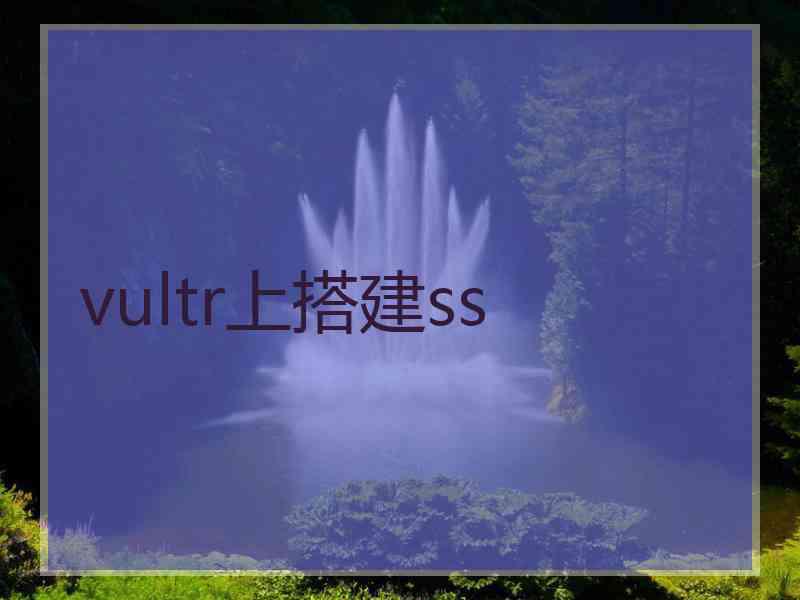 vultr上搭建ss