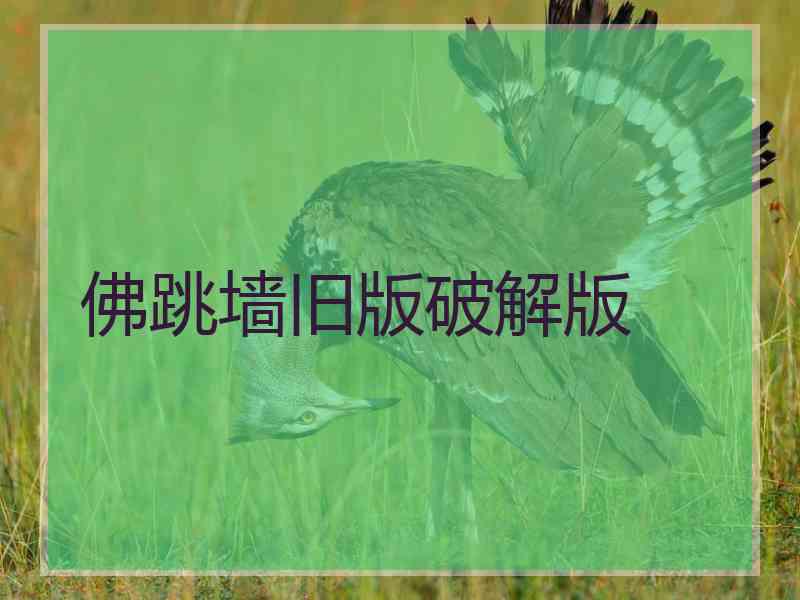 佛跳墙旧版破解版