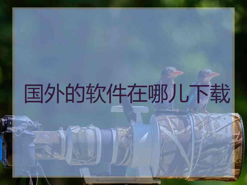 国外的软件在哪儿下载