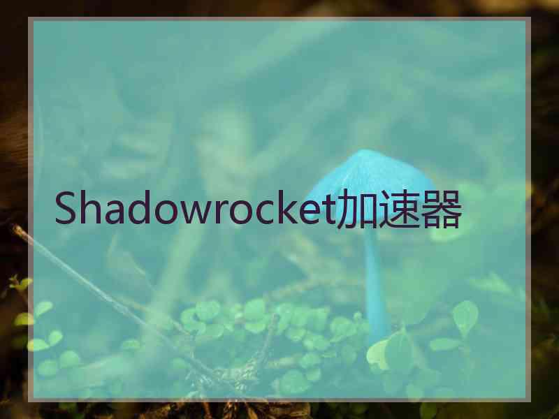 Shadowrocket加速器
